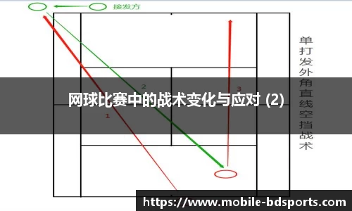 网球比赛中的战术变化与应对 (2)