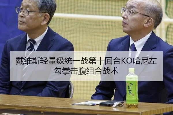 戴维斯轻量级统一战第十回合KO哈尼左勾拳击腹组合战术