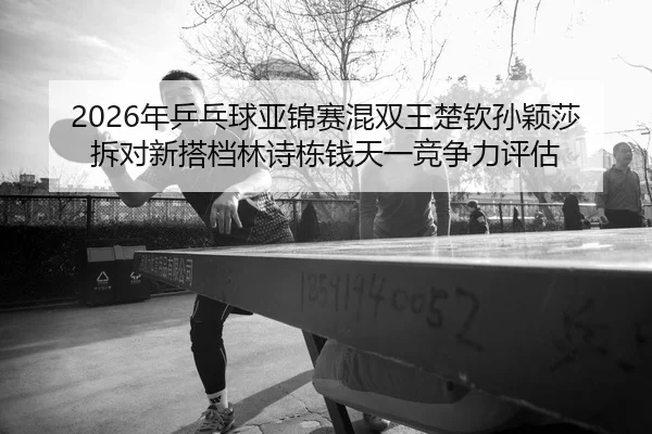 nian-ping-pang-qiu-ya-jin-sai-hun-shuang-wang-chu-qin-sun-ying-sha-chai-dui-xin-da-dang-lin-shi-dong-qian-tian-yi-jing-3-404.jpg